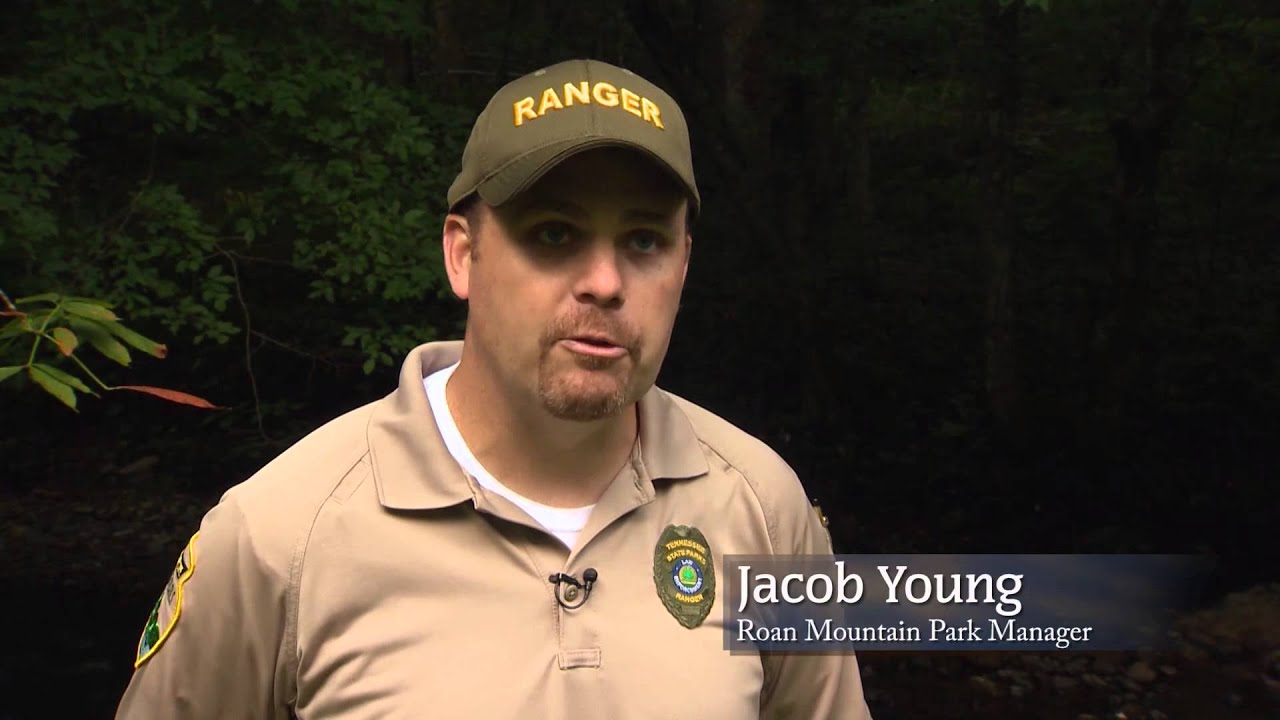 Wild SideTV Roan Mountain State Park Trout Fishing on the Doe River