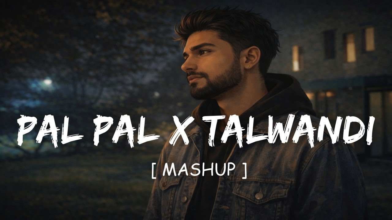 Pal Pal X Talwandi Mega (Mashup) | Afusic x Haseen |  Now Lofi 