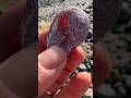 "Agate Stone Found &amp; Cut | Valuable Rock That Pays Big!" #youtubeshorts