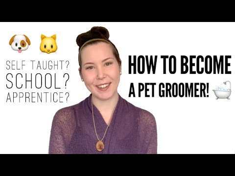 HOW To Become a PET GROOMER | Pet Grooming Career