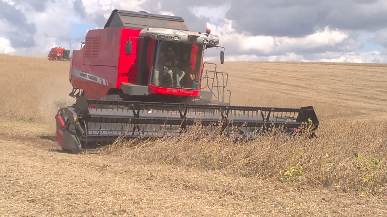 Wp 028 By Marcelo Zoia