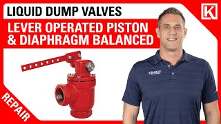 How to Repair a Kimray Lever Operated Piston & Diaphragm Balanced Dump Valve π§