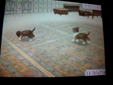 Come ottenere cuccioli su Nintendogs