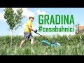 #casabuhnici - Totul despre grădină