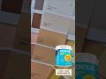 Nerolac Beauty Sheen, Paper Marche (4038) #youtubeshorts #nerolacpaints #trending #painting #beauty