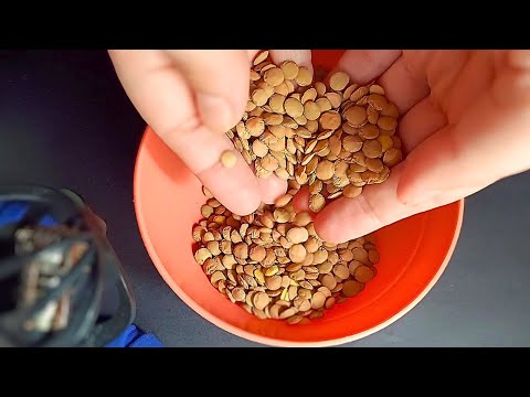 ASMR com Tapping