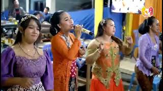 🔊Teratai - ALL Artist CS Sekar Tejo // Full Djandhut' ||