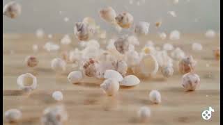 Gentle Shells Falling and Softly Breaking | Relaxing ASMR Loop