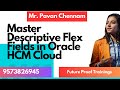 Master Descriptive Flex Fields in Oracle HCM: The Definitive Guide