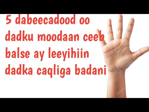 5 dabeecadood oo dadku moodaan ceeb balse lagu yaqaan dadka caqliga badan