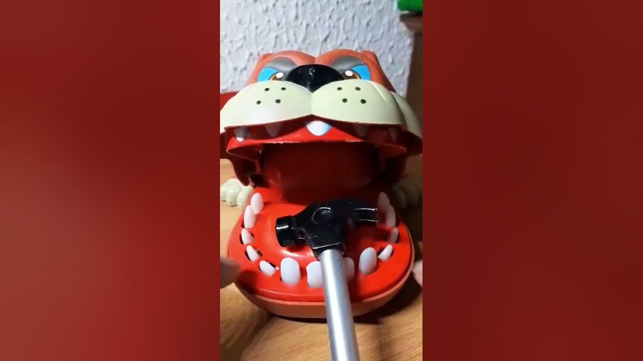dog-eating-ham-dog-asmr-shorts-youtube