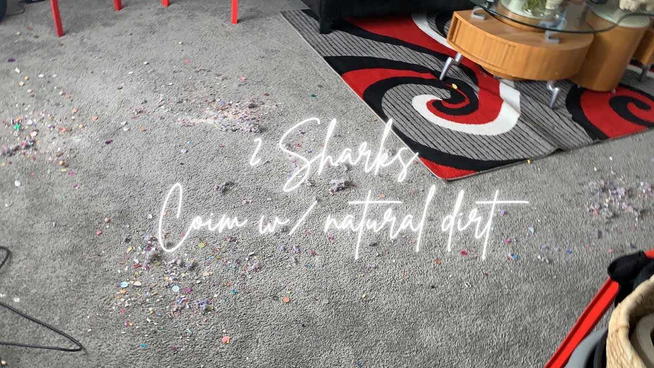 Shark 🦈 | Coins 🪙 | Natural Dirt