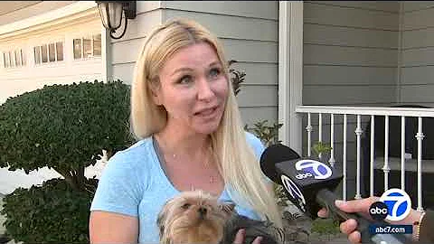 Mountain lion caught on video attacking pet dog in backyard of CA home