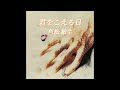 角松敏生ToshikiKadomatsu/君をこえる日