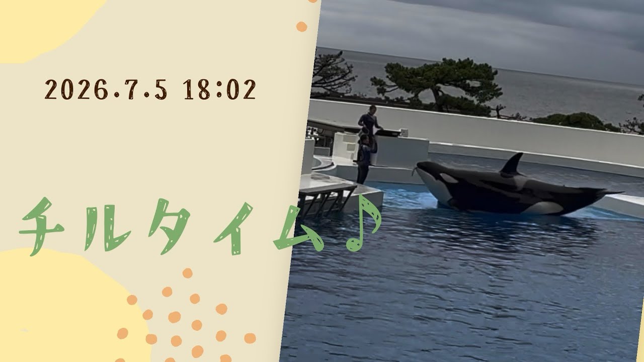 大巡礼★富を築き理想の人生へブレスチャージ可オルゴナイト Chill Time♪ 07/05/2026 6:02 PM - YouTube