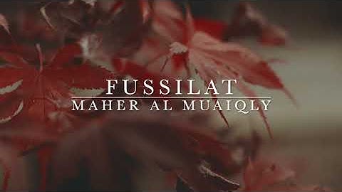 Surat Fussilat - Maher Al Muaiqly | سورة فُصِّلَتْ - ماهر المعيقلي