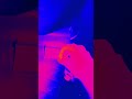 Skibidi 1 Vocoded To Gangstas Paridise