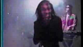 MACE Parasite 1995