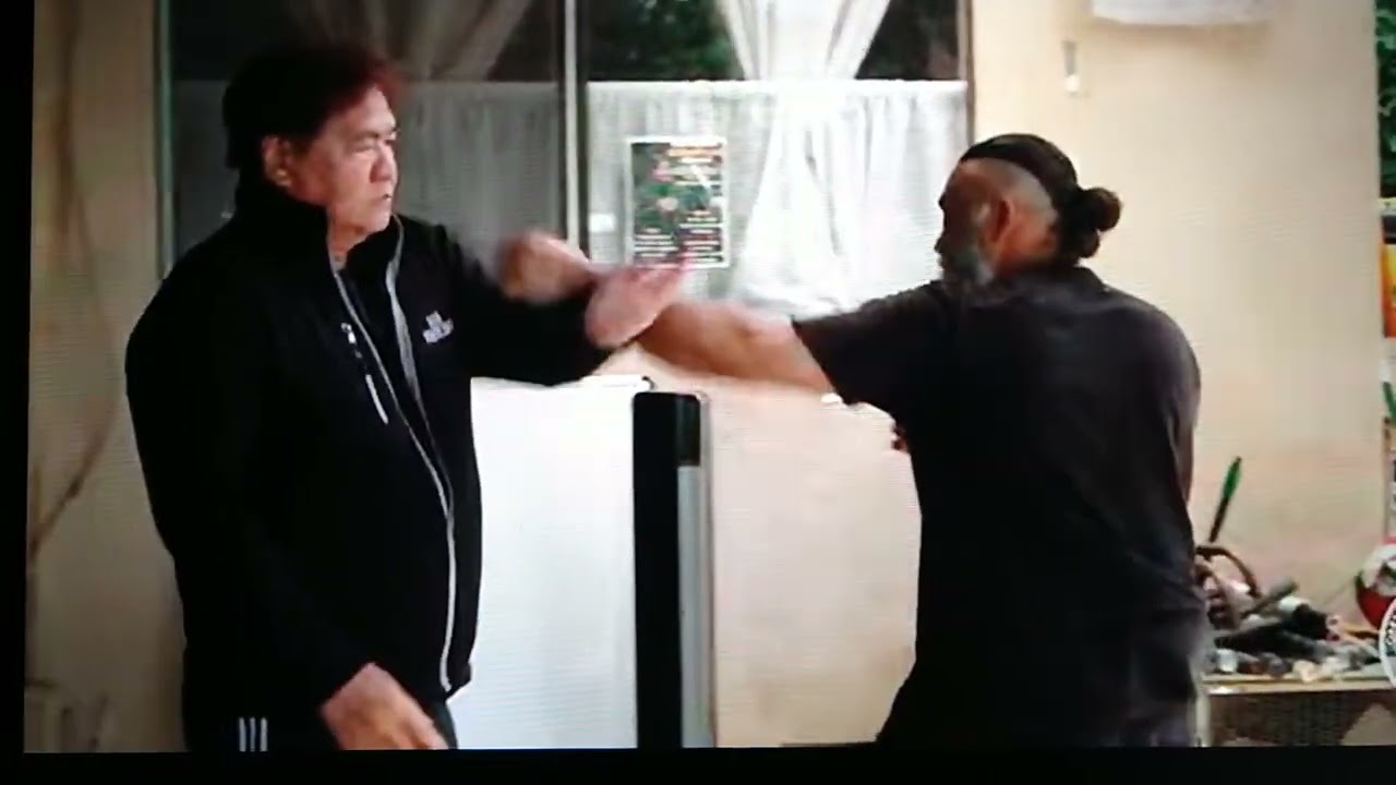 Fight Demo Sifu Gary Lam 🙏🏼!