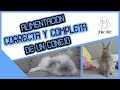 QUE COME UN CONEJO | ¡ALIMENTACIÓN COMPLETA! 🐰