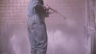 Ms Greenline Água, Detergente, E Desinfetante 3 Em 1 - Ms Schippers Brasil