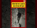 Viral Video: जिंदगी की जंग! मलबे के अंदर से मदद की गुहार | #viralvideo #viralnews #shorts