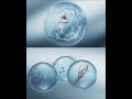 Fragments of commercial work on the Exogen product✨#ProductVisualization #Cinema4D #Redshift3D