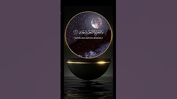ابداع الشيخ ياسر الدوسري في تلاوة خاشعة من القرآن الكريم ما تيسر من سورة الرحمن #قران_كريم #quran