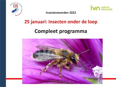 Insecten onder de loep: hele programma