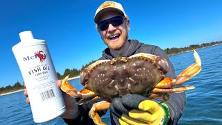 SUPER FISH SCENT Dungeness Crabbing Bait Challenge (Will It Work?) by Hermens Outdoors 2,095 views 8 months ago 11 minutes, 19 seconds