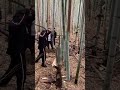 誰にでもできる事を誰にも出来ないほどにやる事が継続。