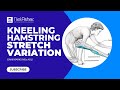 Kneeling Hamstring Stretch (with Variation)