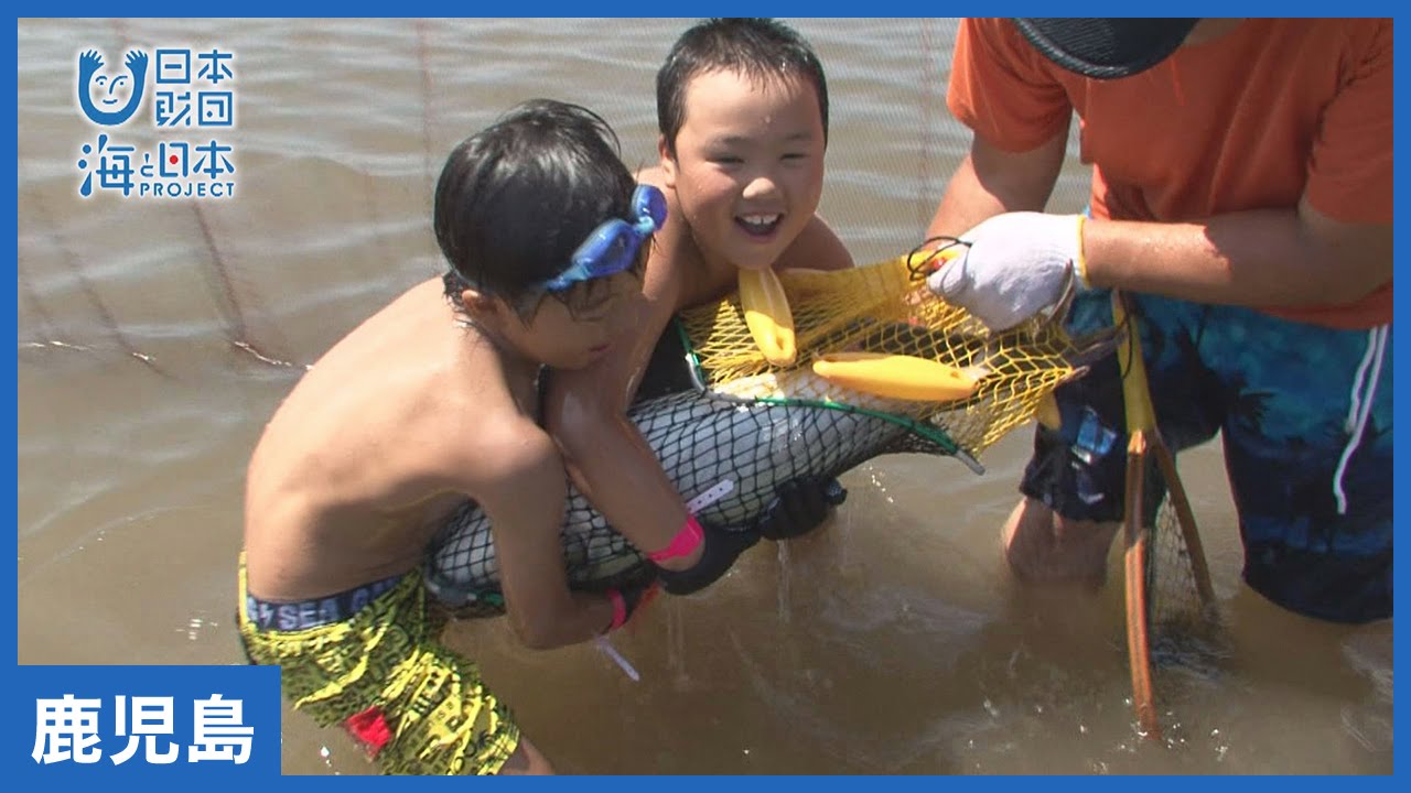 8 魚を獲る つかみ取り体験 海と日本project In 鹿児島 Youtube