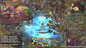 [ToS] Information on Paladin