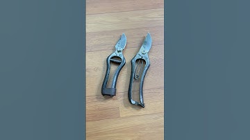 Bộ đôi cắt cành Bông lúa Murahisa #0376628645 @dungcubonsaihaidu #hàngnhậtbãi #kéocắtcành #bonsai