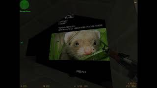 Counter-Strike | CS_Office | Hamster screenshot 4