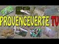 Provenceverte tv