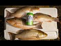 Pandemic Protein Re-Supply Time - Channel Mangrove Snapper