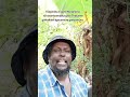 Kũgũrũka Ti Gũte Matarania Nĩ Kwambambĩka Gwa Thakame Gũikaikani ĩgecemũra Gwĩcemũra 
