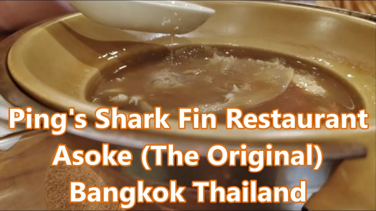 Shark Fin Soup Bangkok