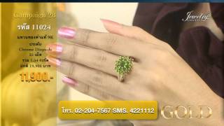 GOC28D060713