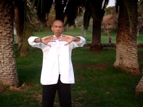 Alain Bourguignon Yi Jin Jing 3