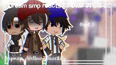 Dream smp reacts to their irl selves || 1/? || plz watch at 1080p || Petuniablu :]