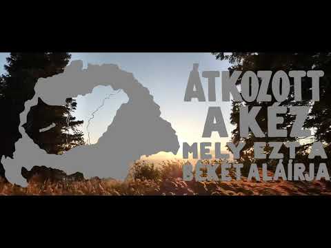 Kárpátia - Fenyő,
