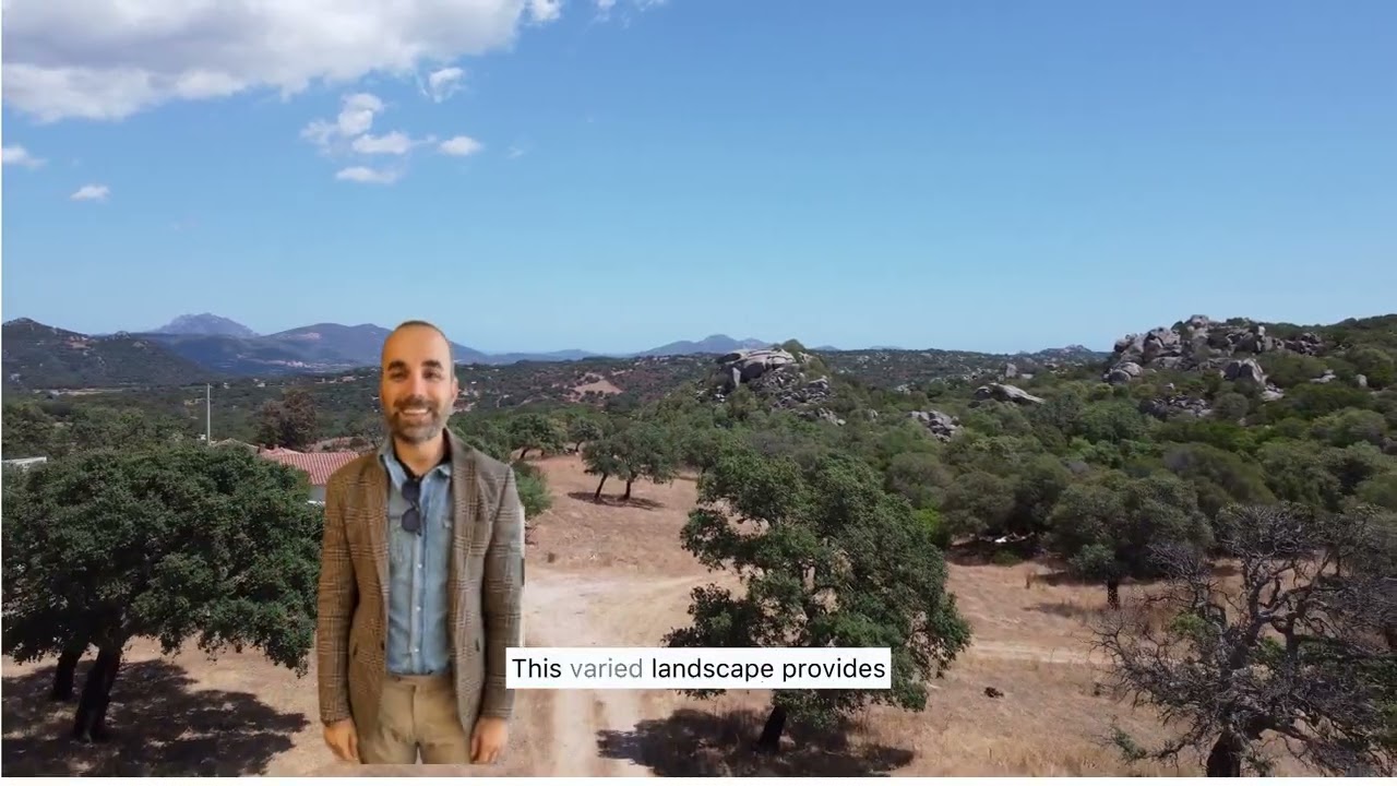 In Olbia Land for Sale: Seize Your Sardinian Dream Now