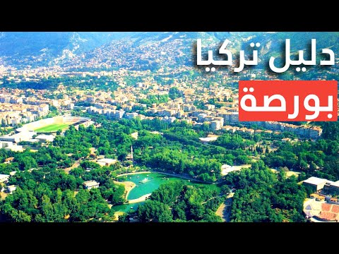 فيديو: ماذا ترى في بورصة