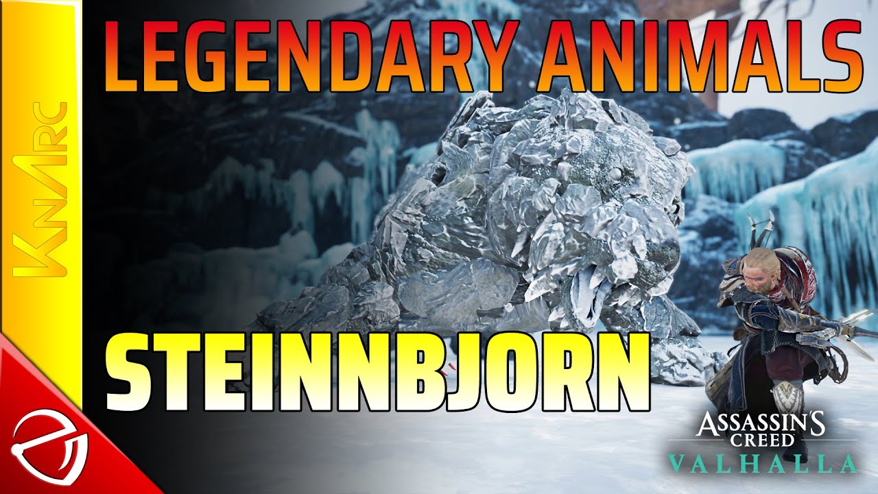 Assassin's Creed: Valhalla - Legendary Animals - Steinnbjorn