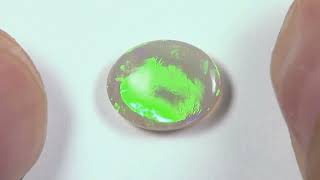 Solid Lightning Ridge Light Opal KL3997