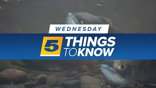 Five things you need to know Wednesday