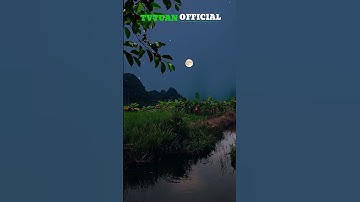 Cứ mãi một mình như thế rồi sau này thế nào? #shorts #short